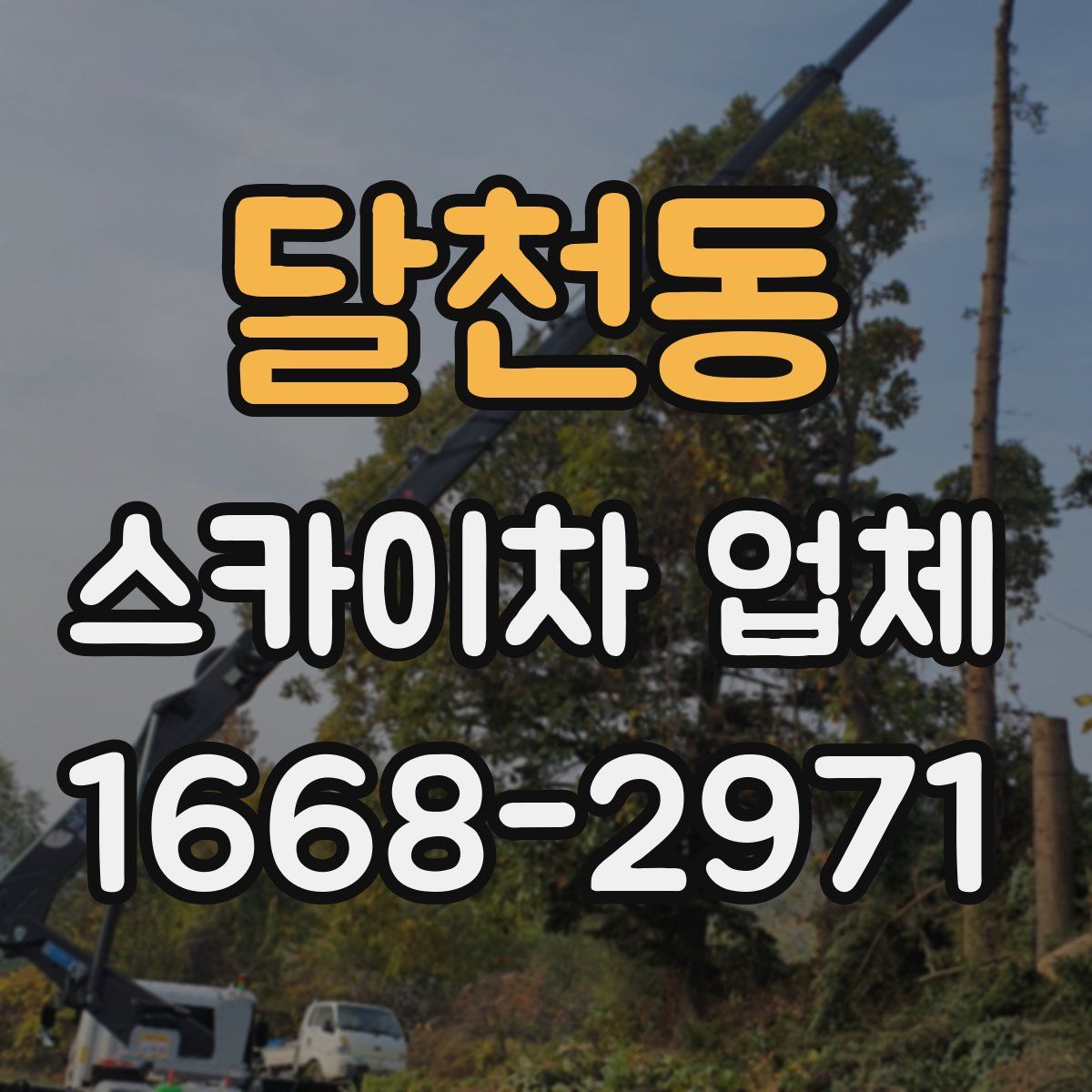 달천동 스카이차 업체