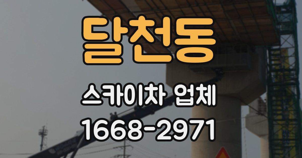 달천동 스카이차 업체