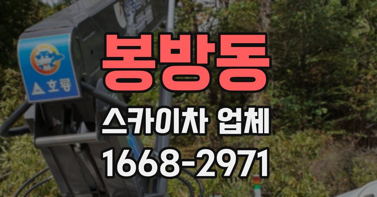 봉방동 스카이차 업체