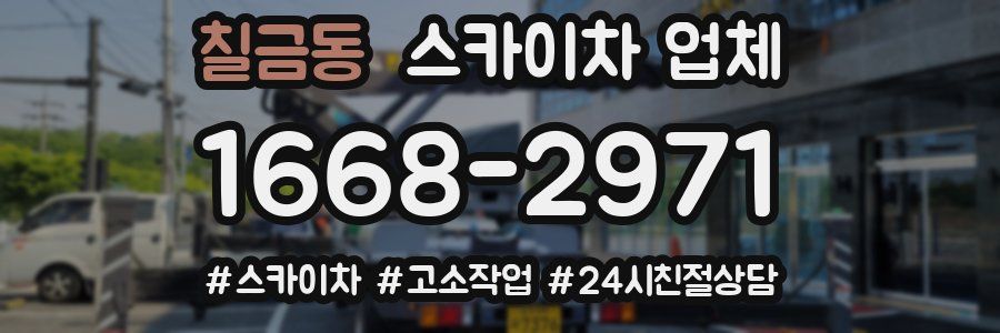칠금동 스카이차 업체