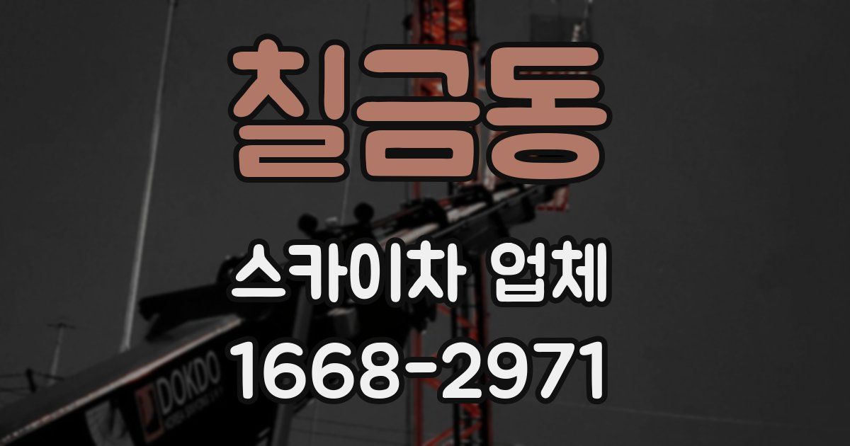 칠금동 스카이차 업체
