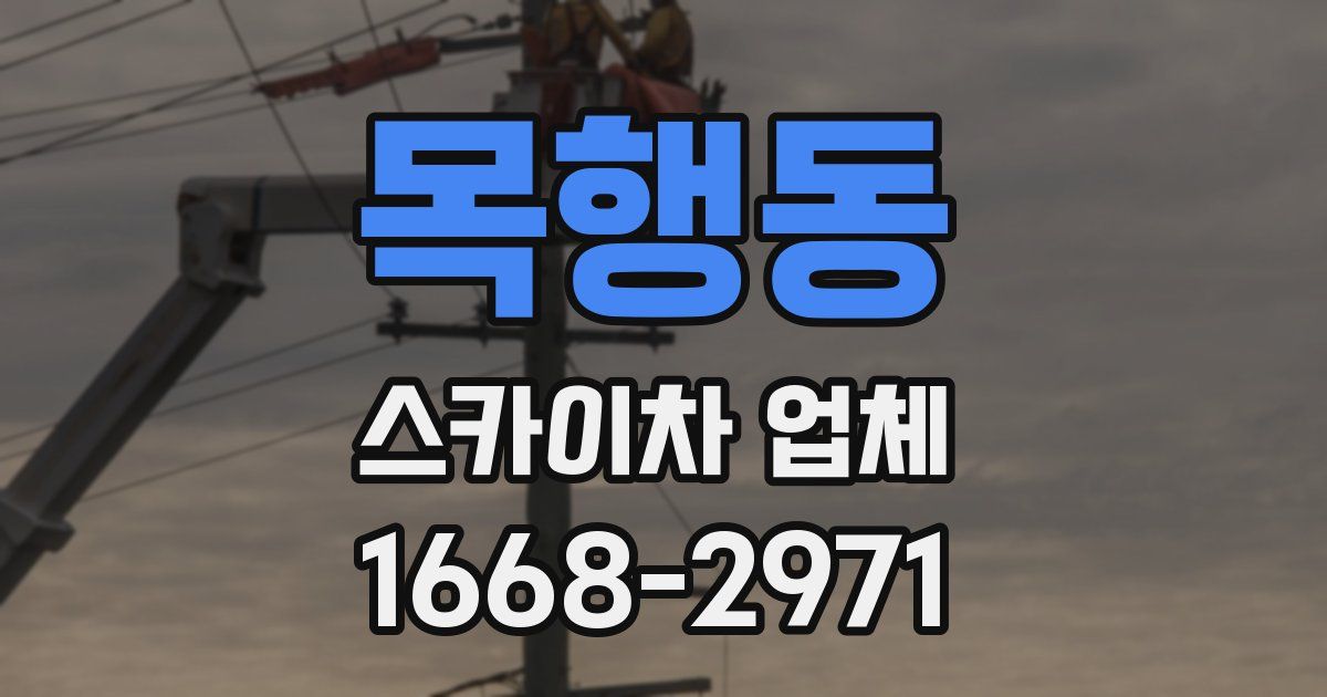 목행동 스카이차 업체
