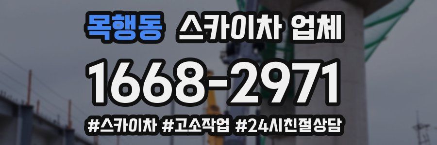 목행동 스카이차 업체