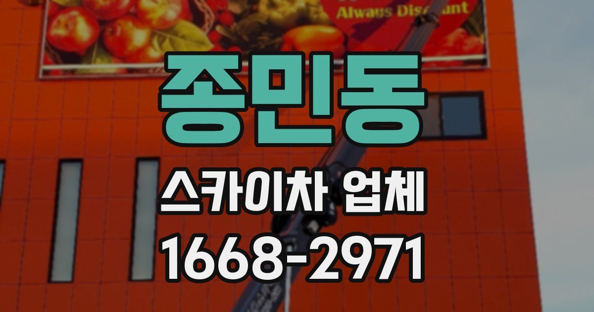 종민동 스카이차 업체