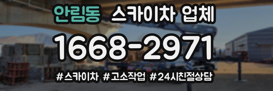 안림동 스카이차 업체