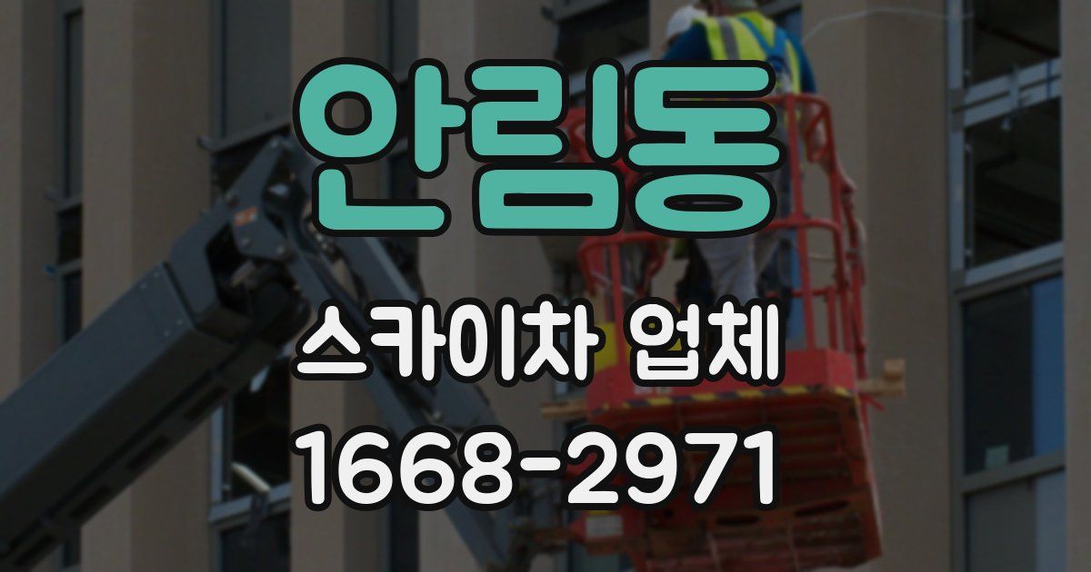 안림동 스카이차 업체