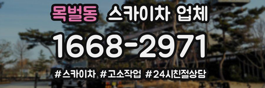 목벌동 스카이차 업체