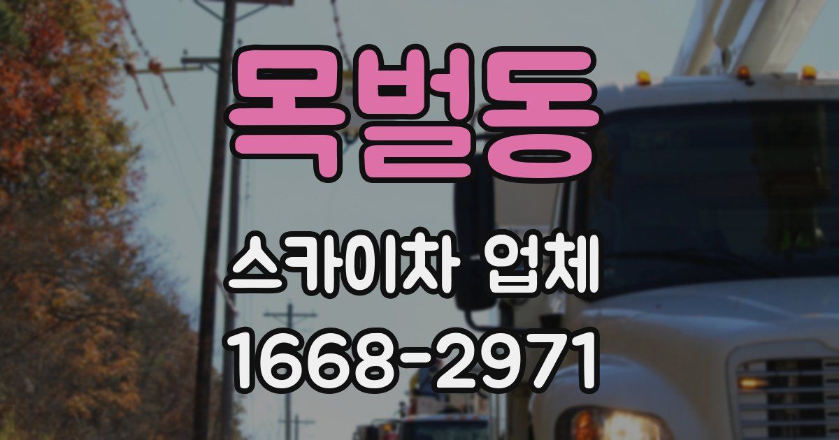 목벌동 스카이차 업체