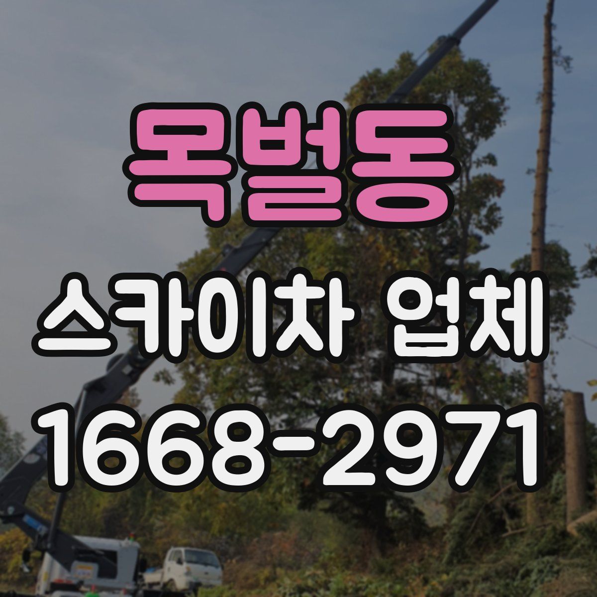목벌동 스카이차 업체