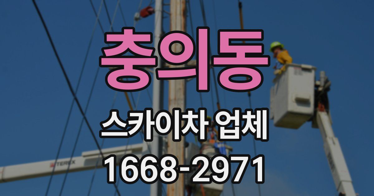 충의동 스카이차 업체