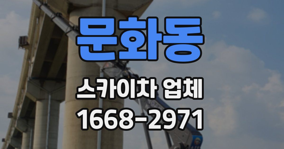 문화동 스카이차 업체