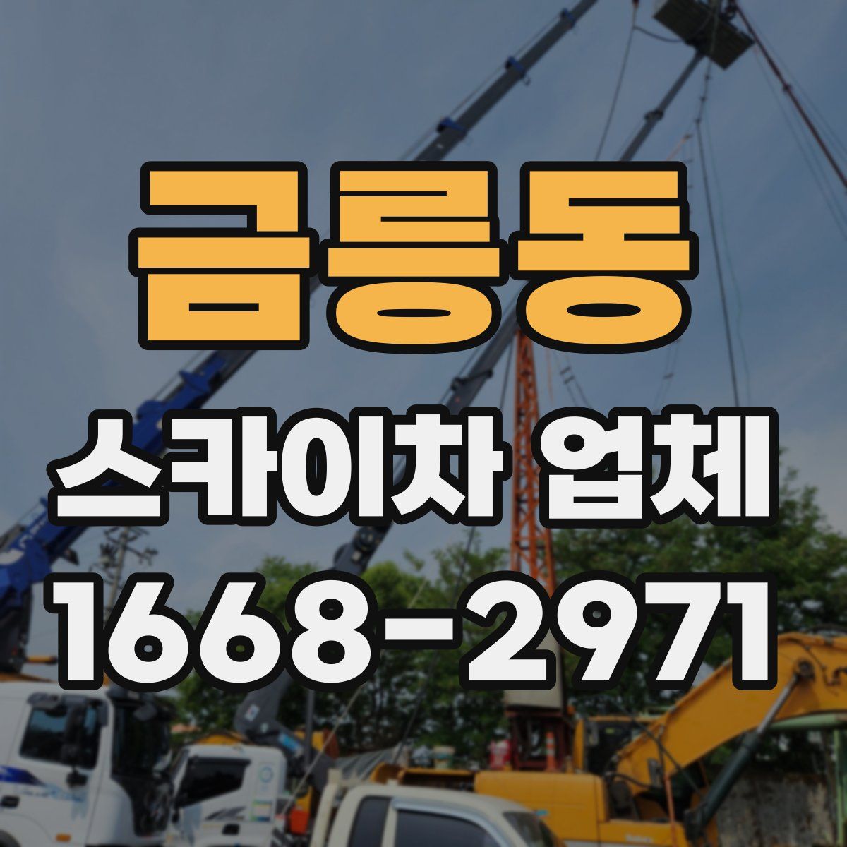금릉동 스카이차 업체