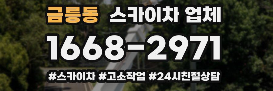 금릉동 스카이차 업체