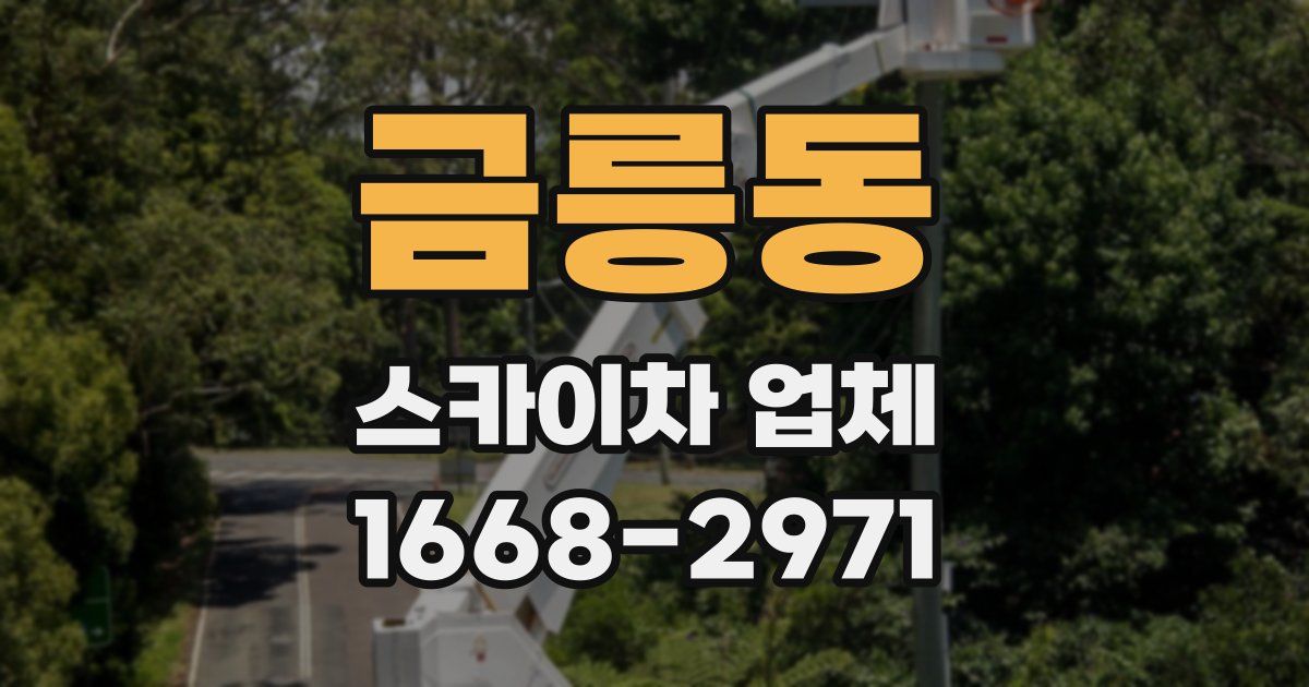 금릉동 스카이차 업체