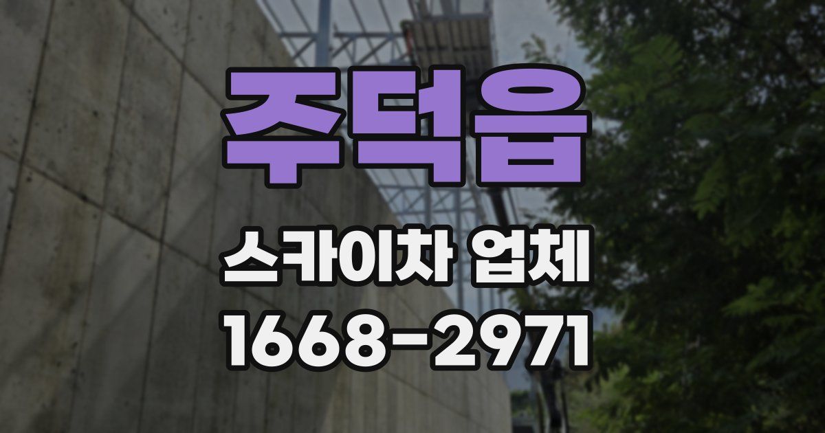 주덕읍 스카이차 업체