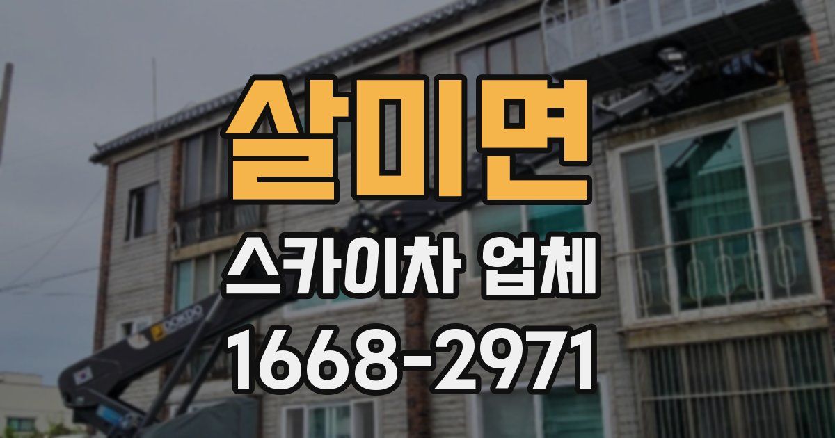 살미면 스카이차 업체