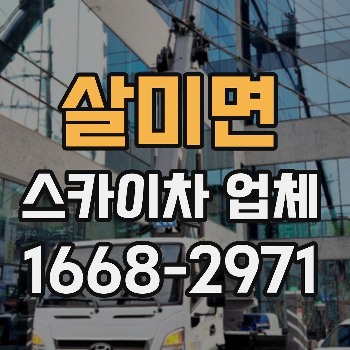 살미면 스카이차 업체
