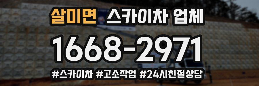 살미면 스카이차 업체