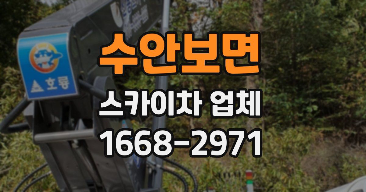수안보면 스카이차 업체