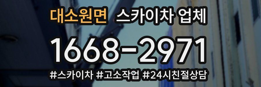 대소원면 스카이차 업체