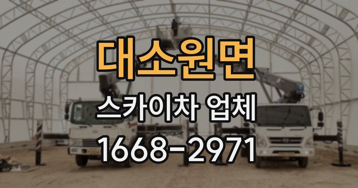 대소원면 스카이차 업체