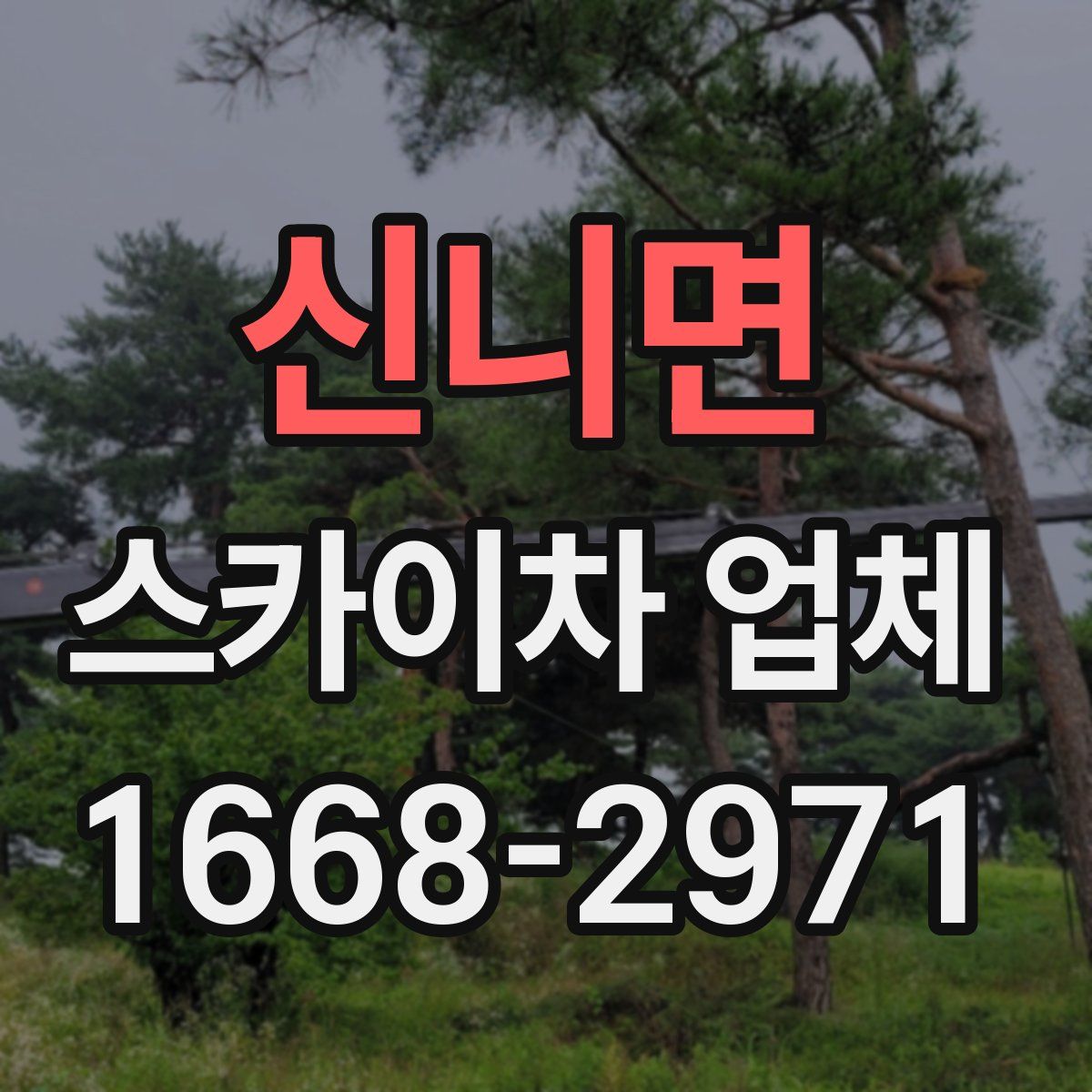 신니면 스카이차 업체