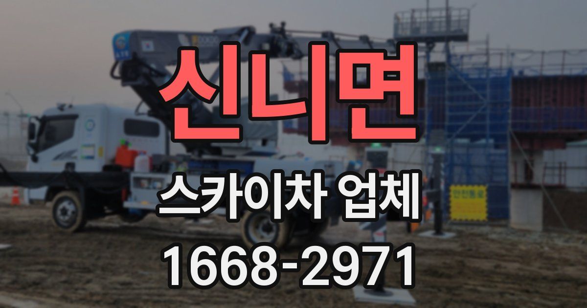 신니면 스카이차 업체