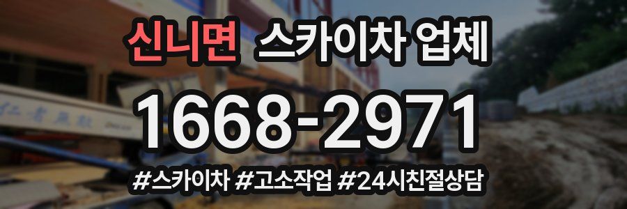 신니면 스카이차 업체