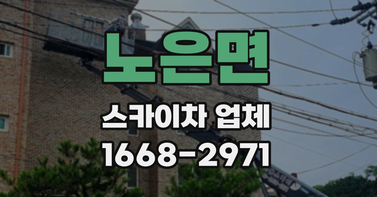 노은면 스카이차 업체