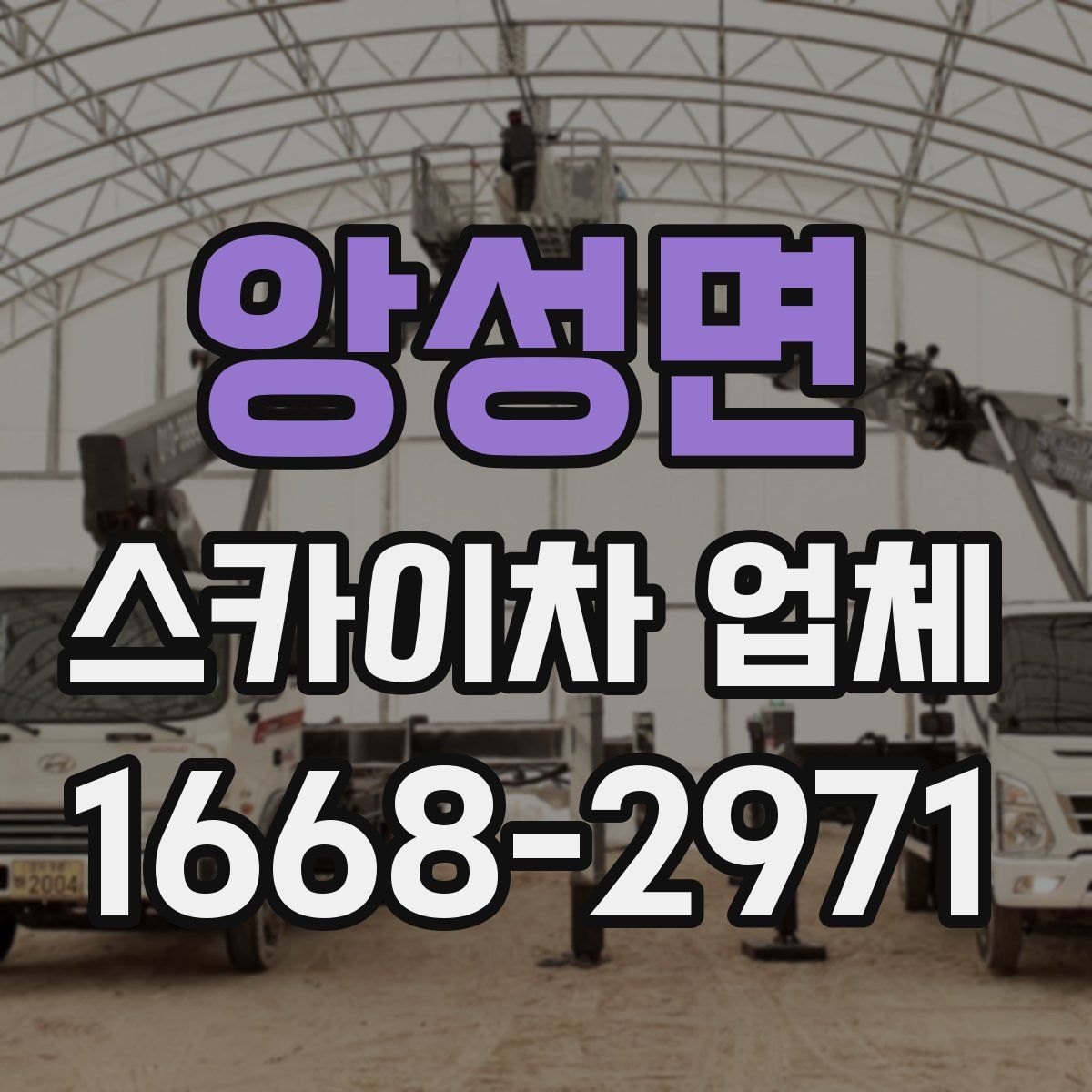 앙성면 스카이차 업체