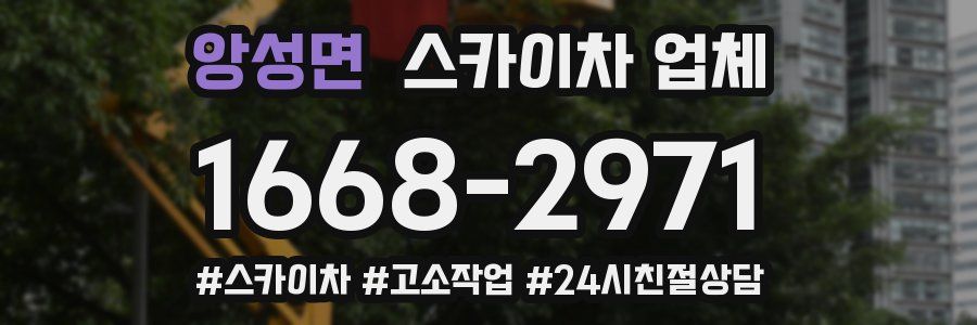 앙성면 스카이차 업체