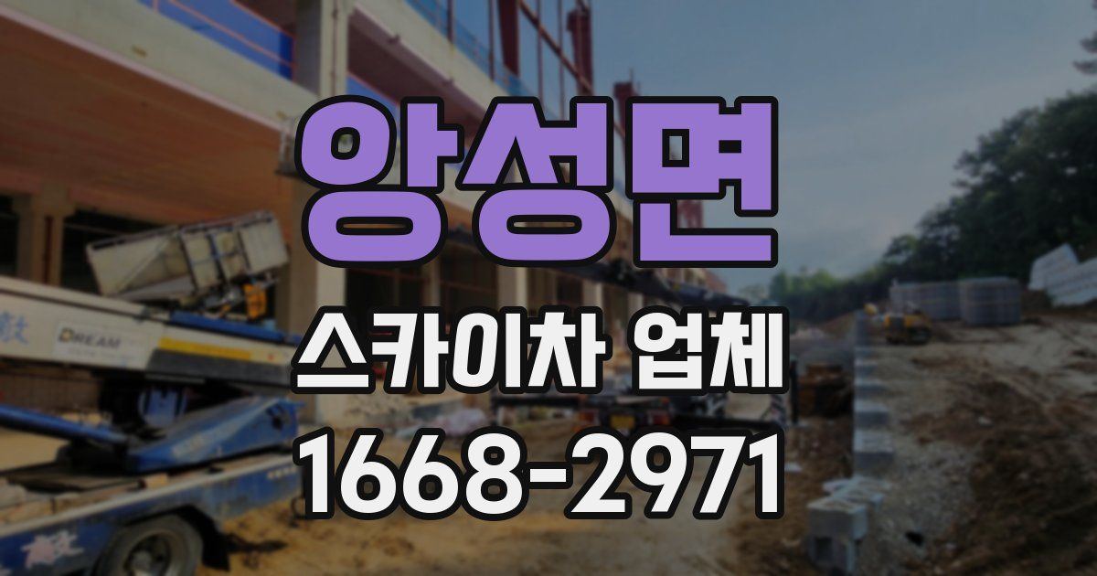 앙성면 스카이차 업체
