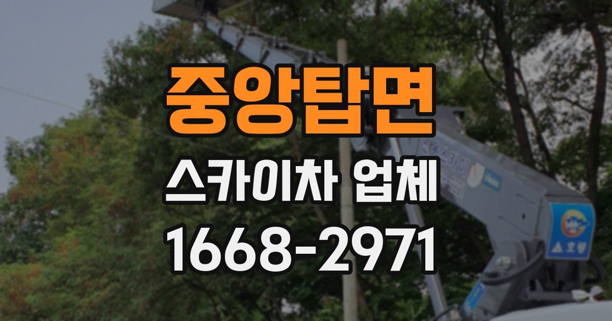 중앙탑면 스카이차 업체