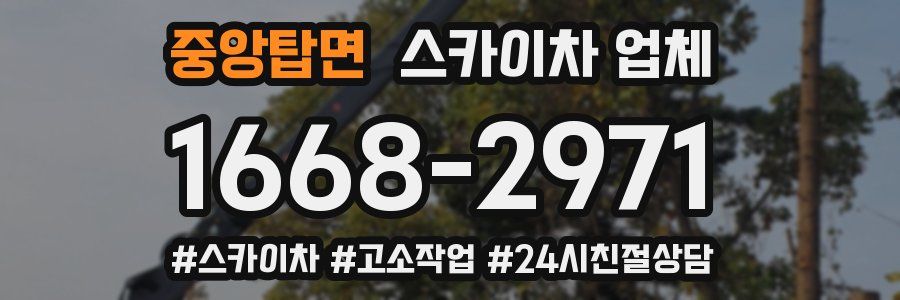 중앙탑면 스카이차 업체
