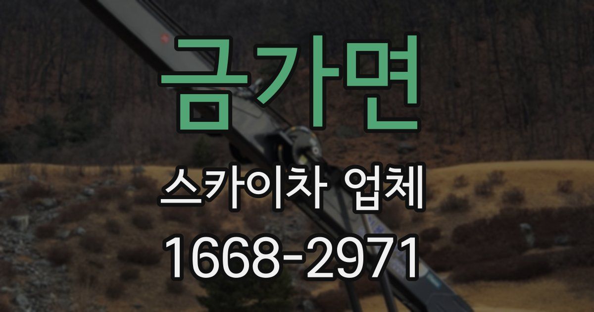 금가면 스카이차 업체