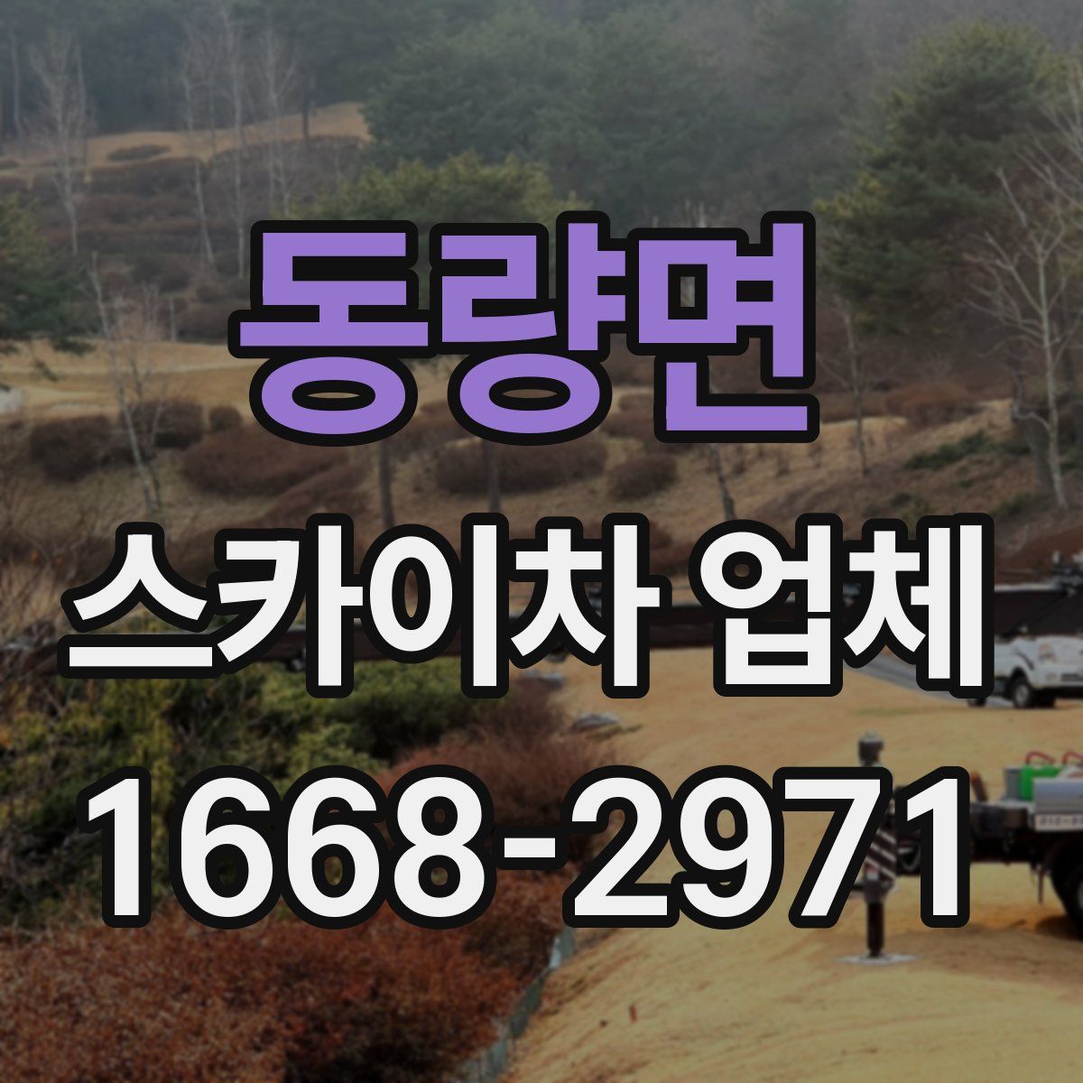 동량면 스카이차 업체