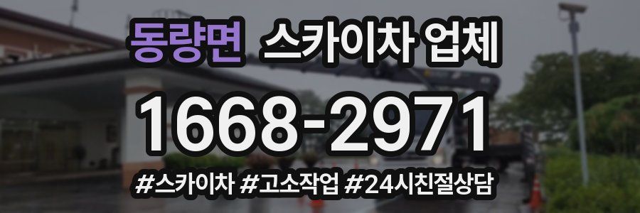 동량면 스카이차 업체