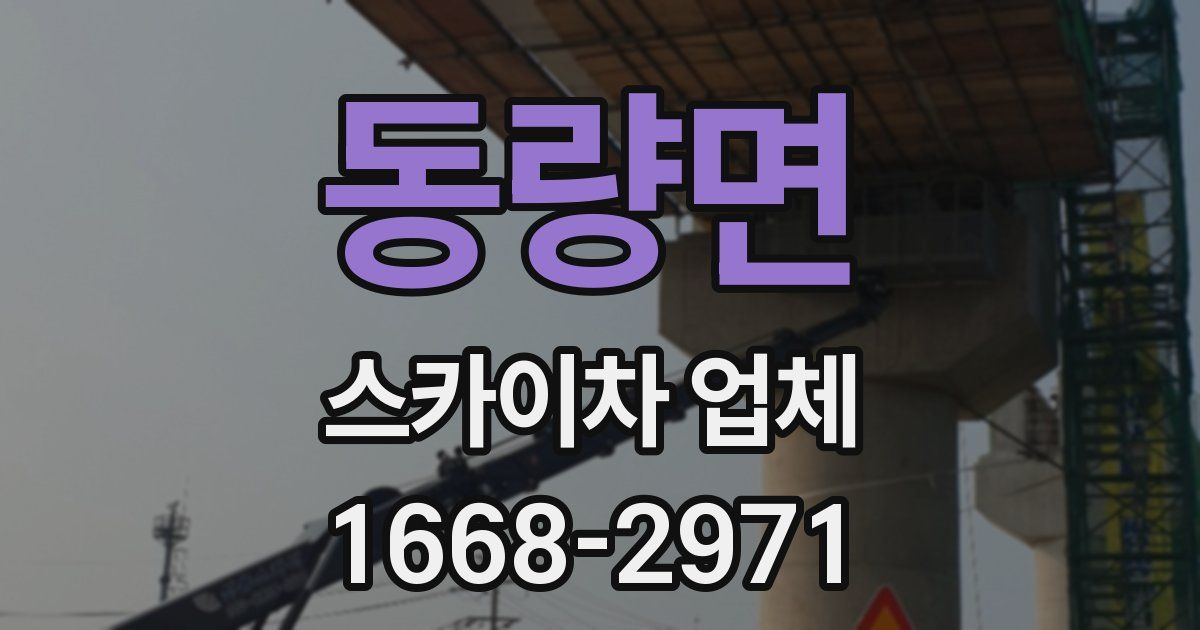 동량면 스카이차 업체