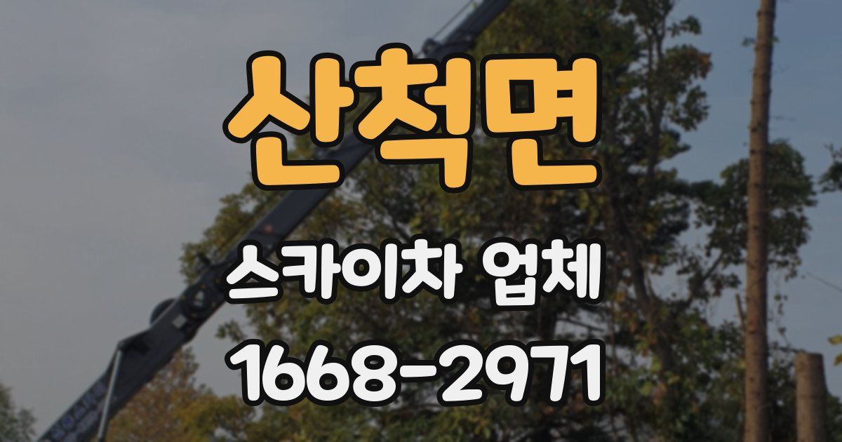 산척면 스카이차 업체