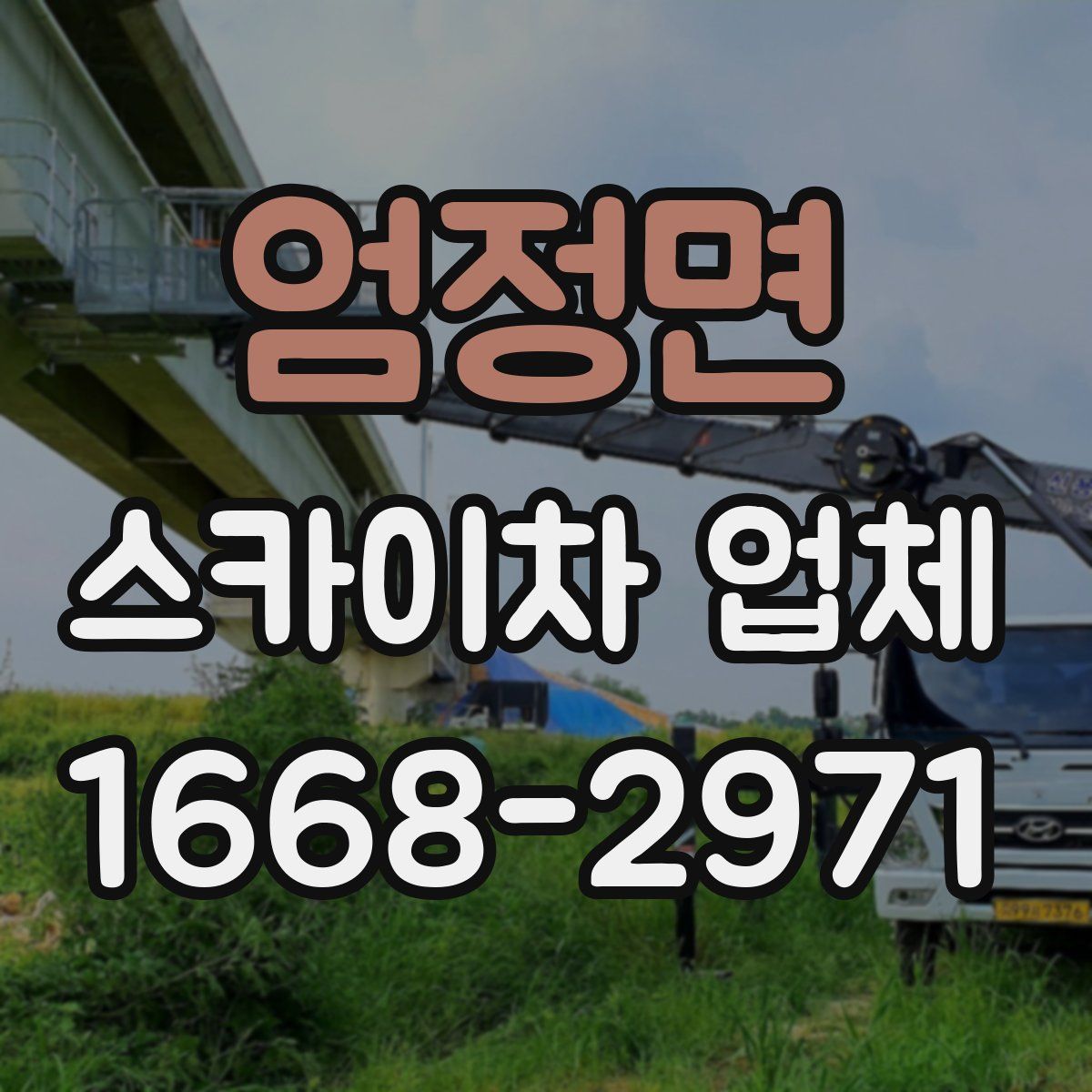 엄정면 스카이차 업체