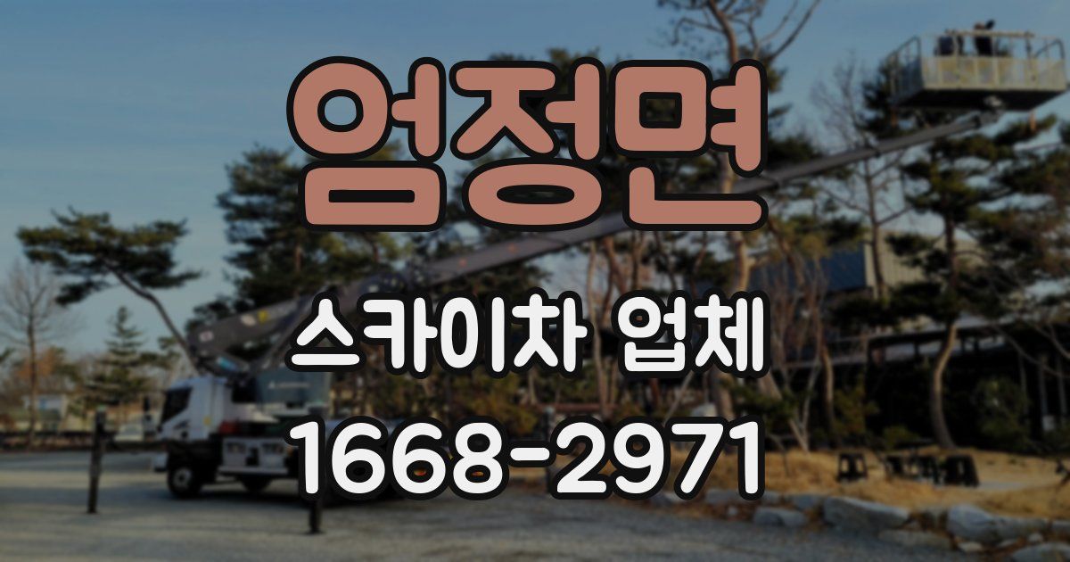엄정면 스카이차 업체