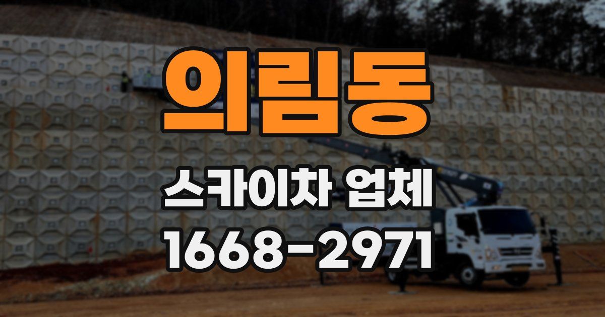 의림동 스카이차 업체