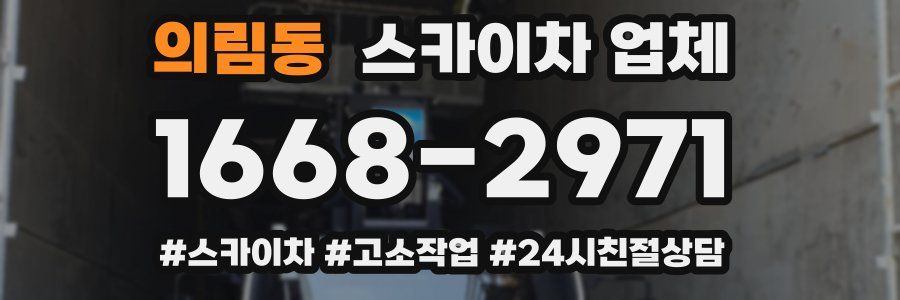 의림동 스카이차 업체