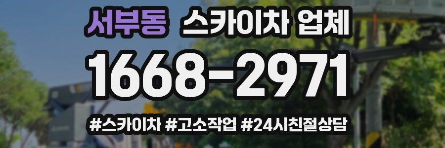 서부동 스카이차 업체
