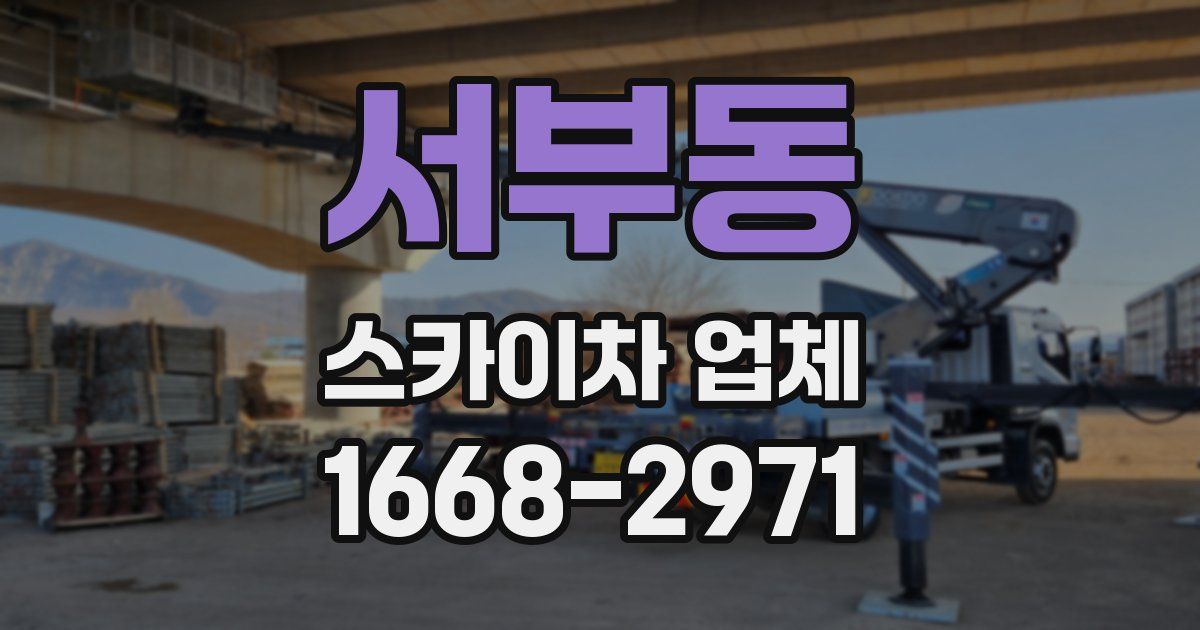 서부동 스카이차 업체