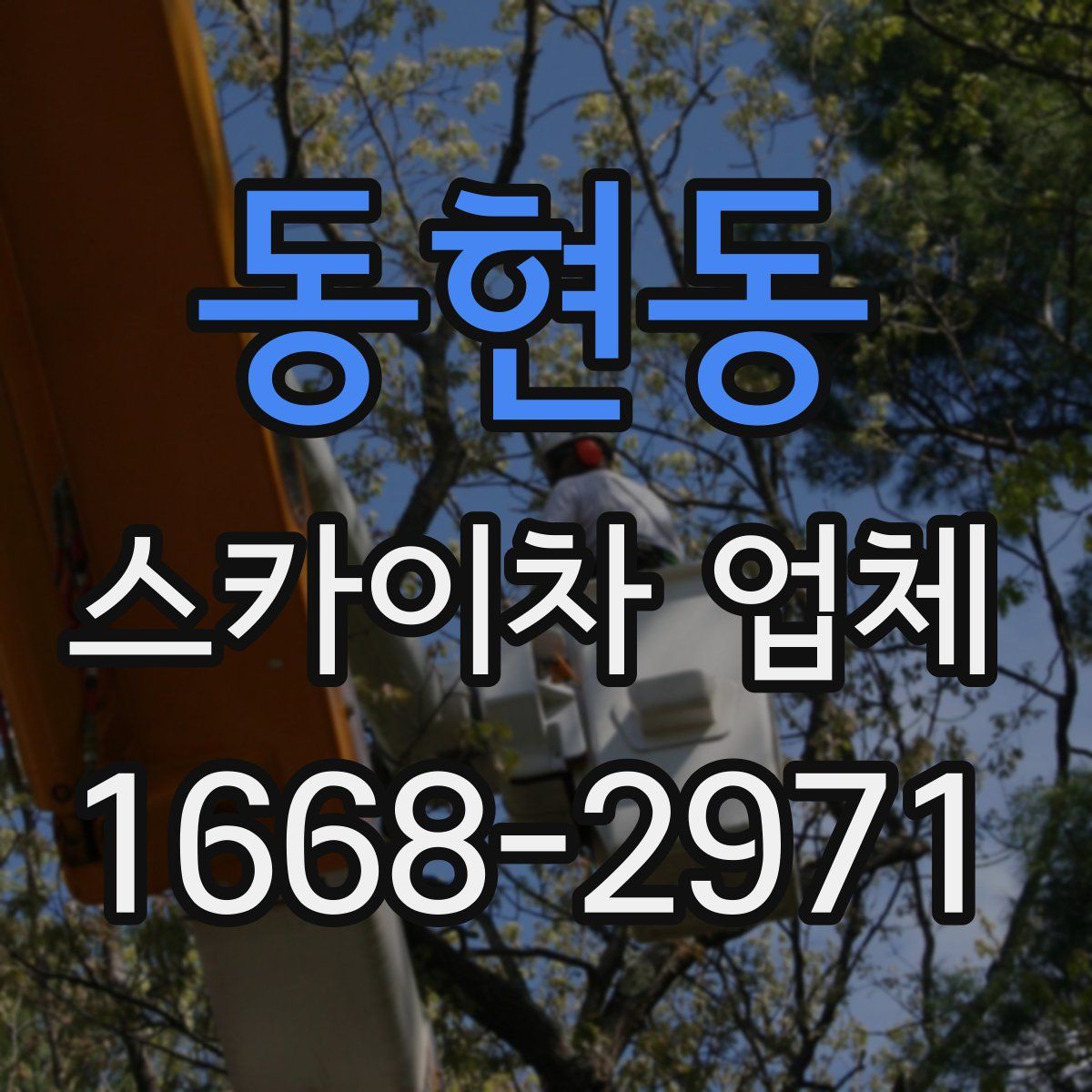 동현동 스카이차 업체