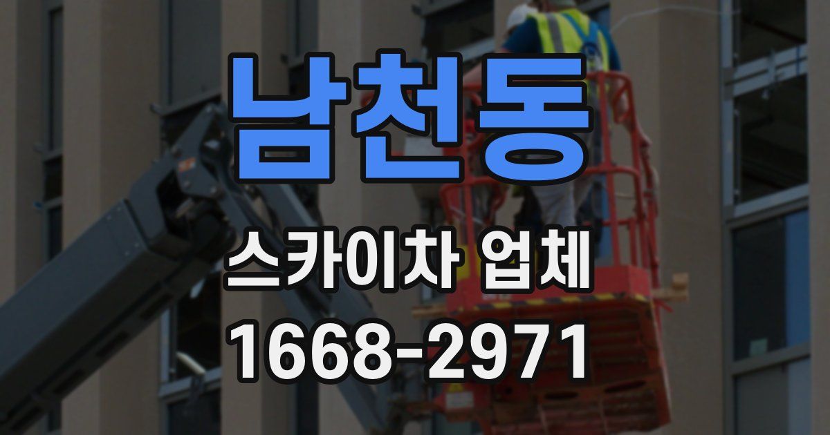 남천동 스카이차 업체