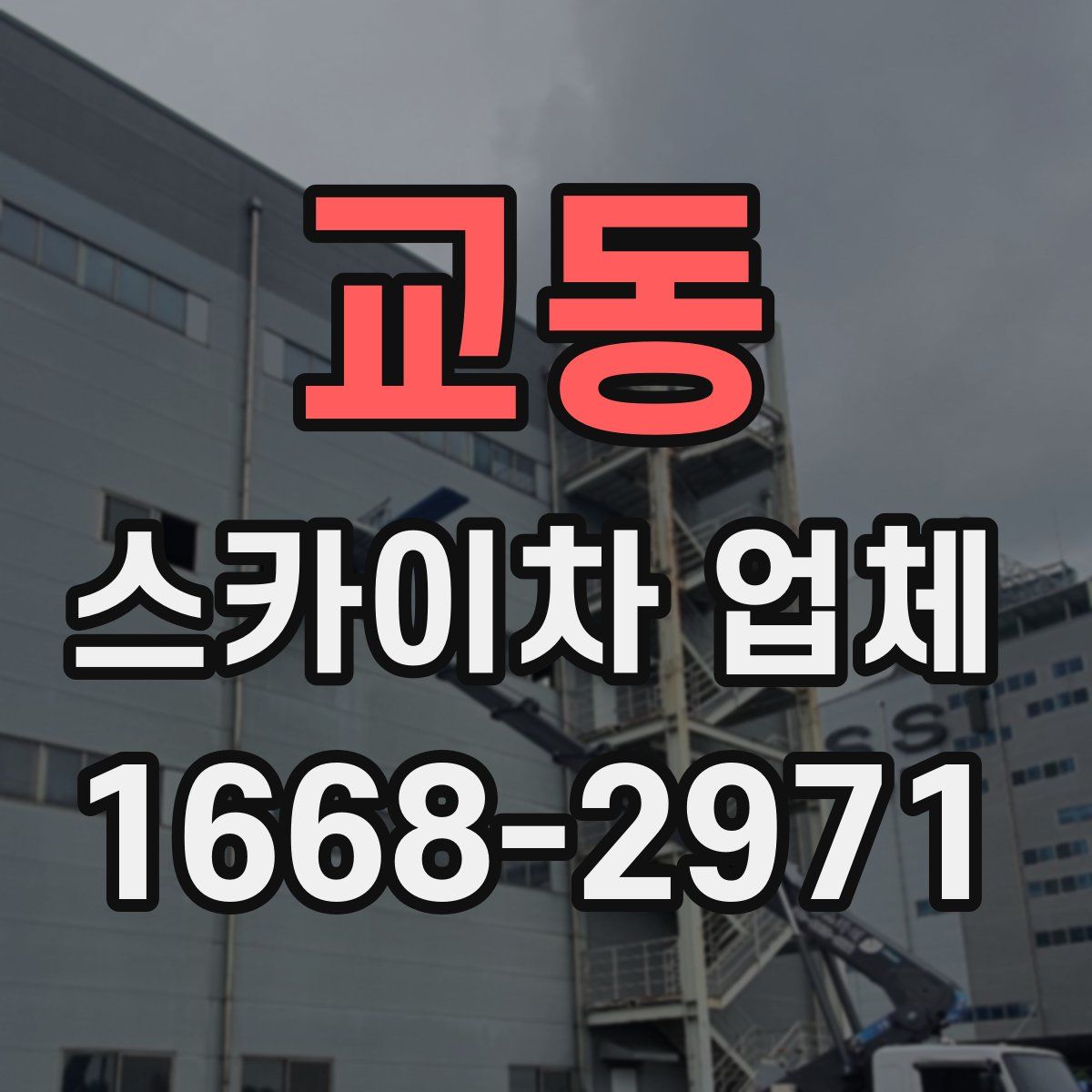 교동 스카이차 업체