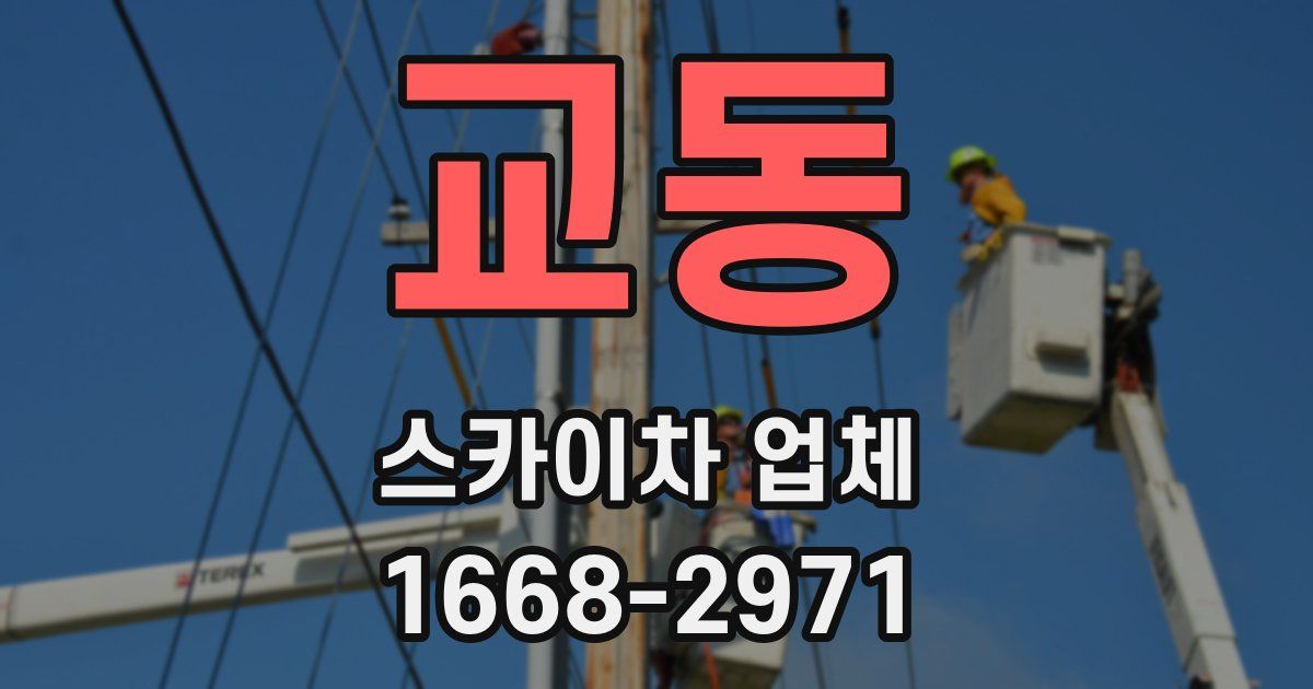 교동 스카이차 업체