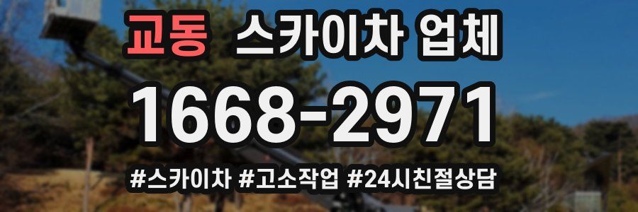 교동 스카이차 업체